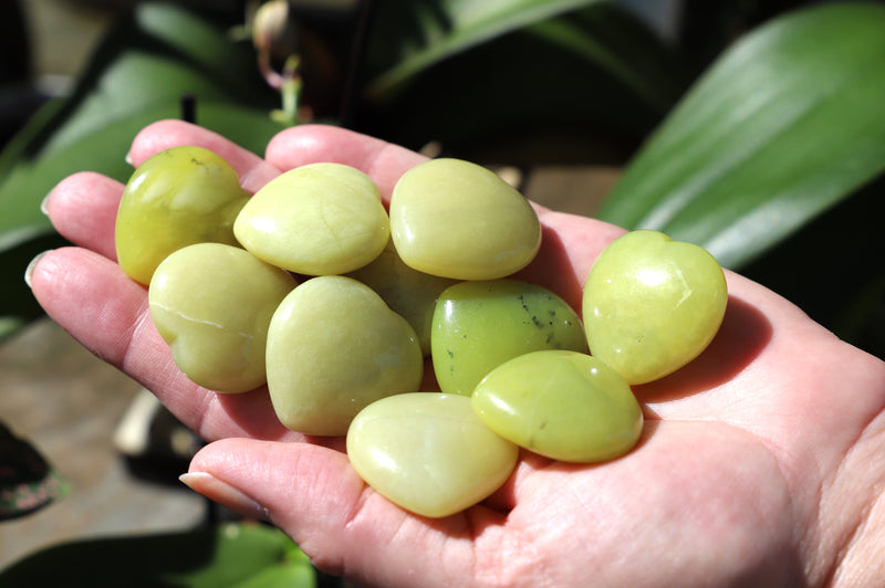 jade lemon plant Serpentine Lemon Jade heart – Esoteric Aroma