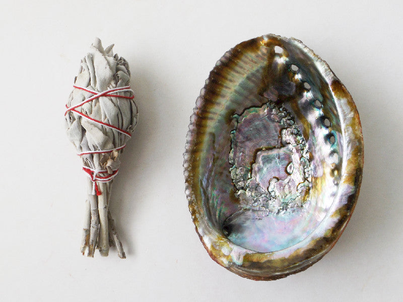 White Sage and Abalone Shell
