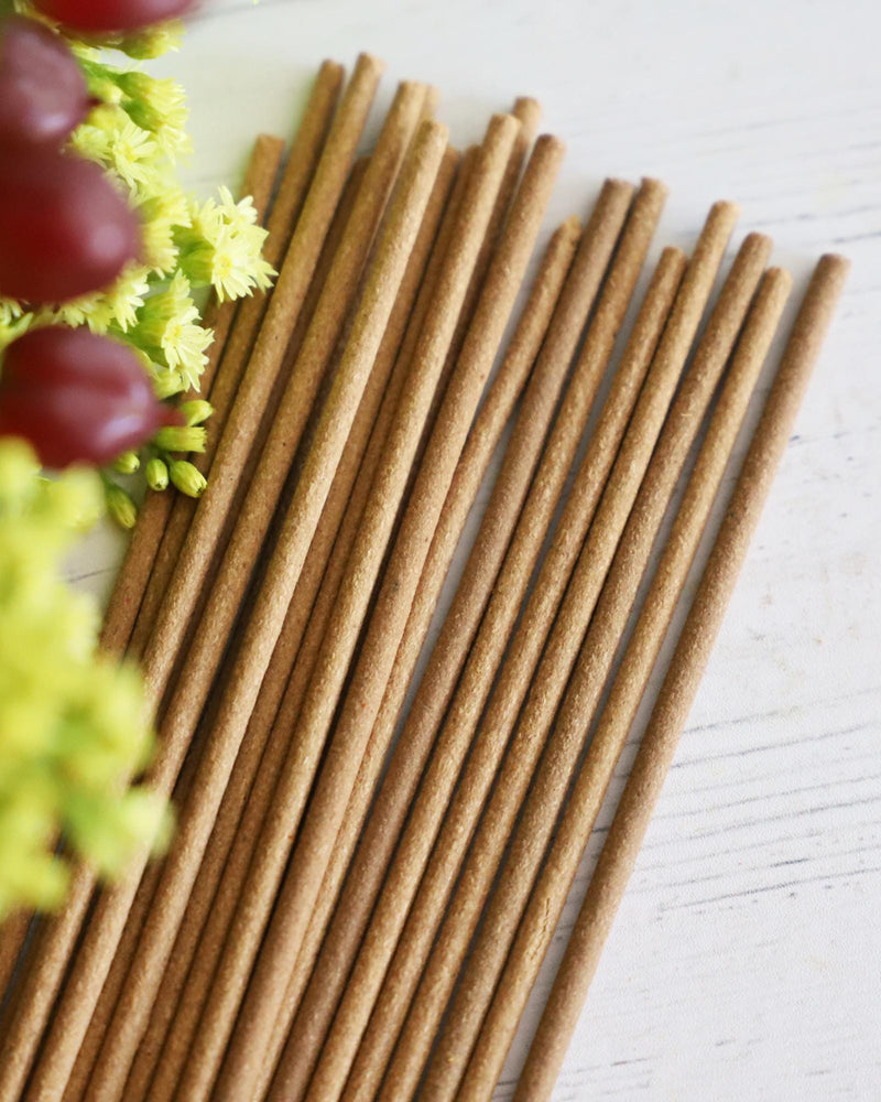 Incense sticks on neutral background with green and red foliage