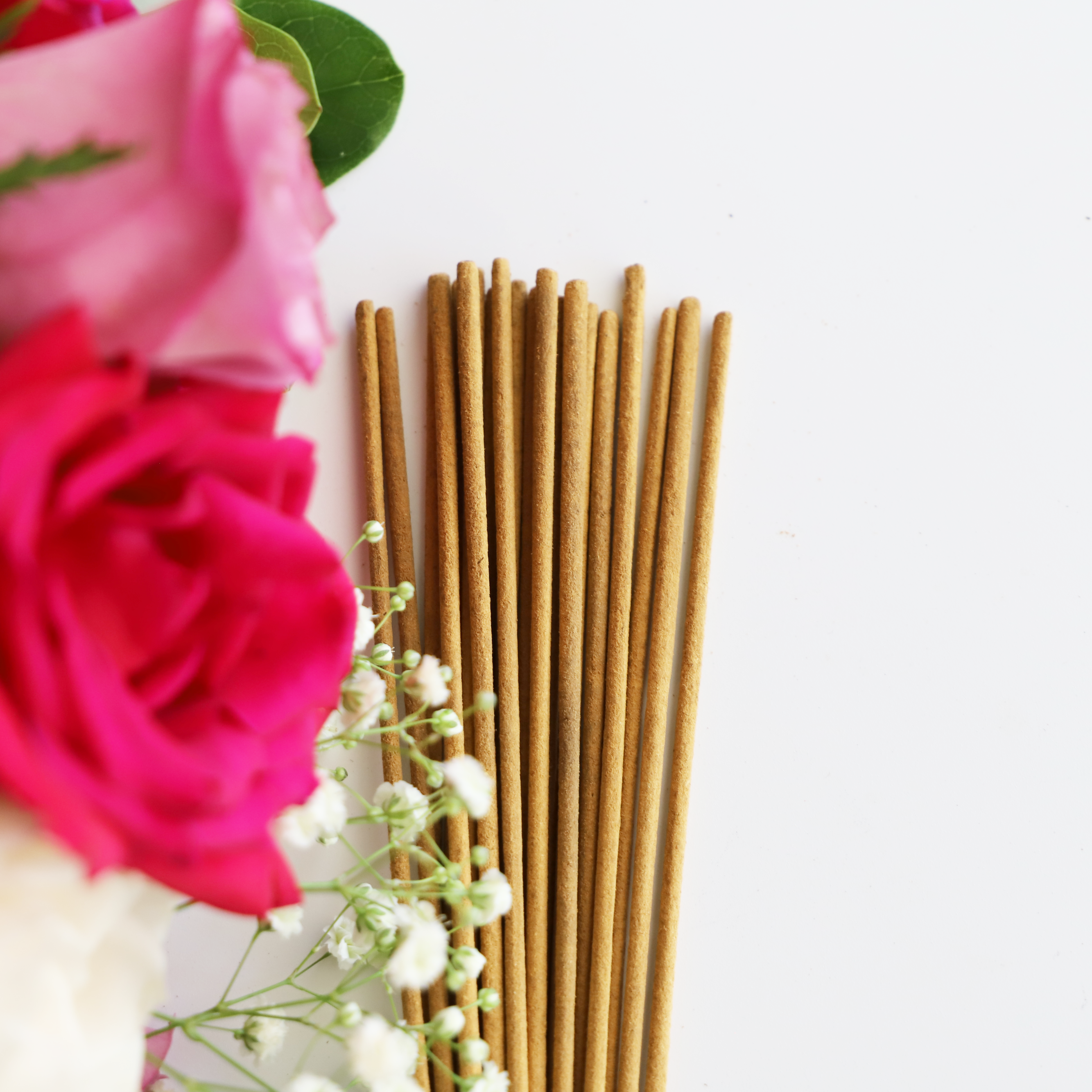Library of Poisonous Plants Incense Set | Dark Botanical Incense