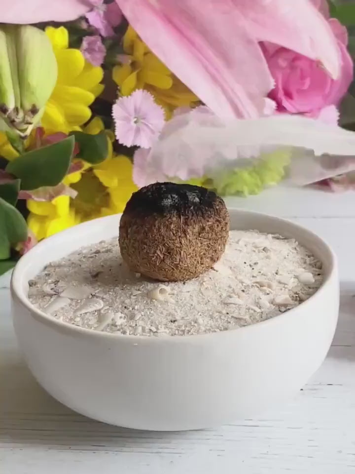 White Sage Incense Balls: Spiritual Fumigation | 4 Pack