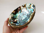 Abalone Shell Sage Burner - Esoteric Aroma