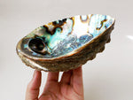 Abalone Shell Sage Burner - Esoteric Aroma