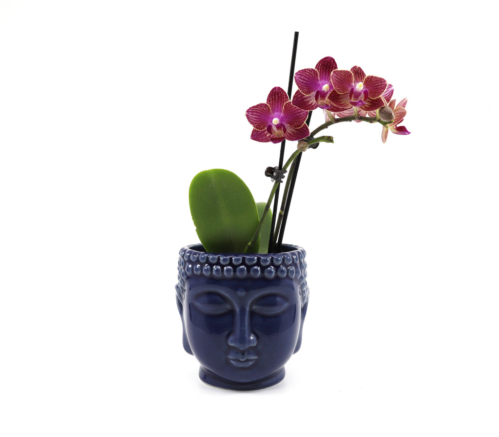 Buddha ceramic planter