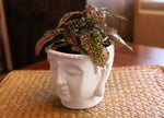 Porcelain Buddha head planter pot