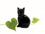 Onyx Black Cat - Esoteric Aroma