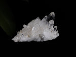 Clear Quartz crystal - Esoteric Aroma