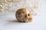 Crazy Lace Agate skull