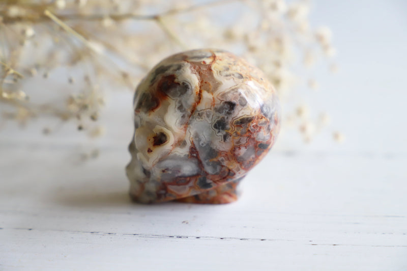 Crazy Lace Agate starbeing skull