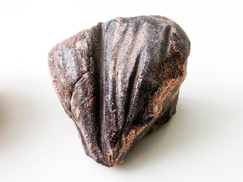 Resin Incense Starter Kit - Esoteric Aroma