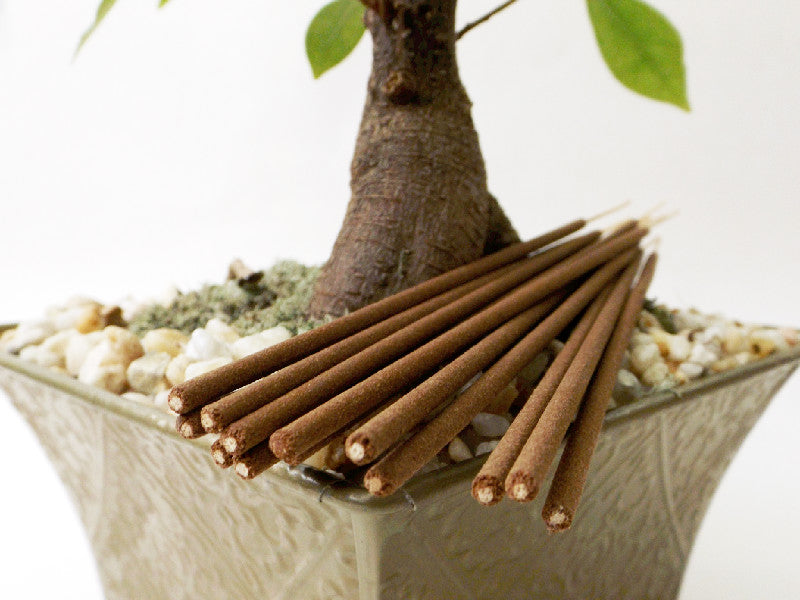 Bodhi Tree Premium Incense Sticks - Esoteric Aroma