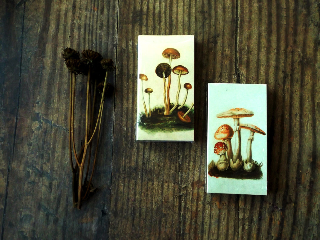 Magic Mushroom matchbox - Esoteric Aroma