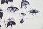 Celestial Moth sticker pack