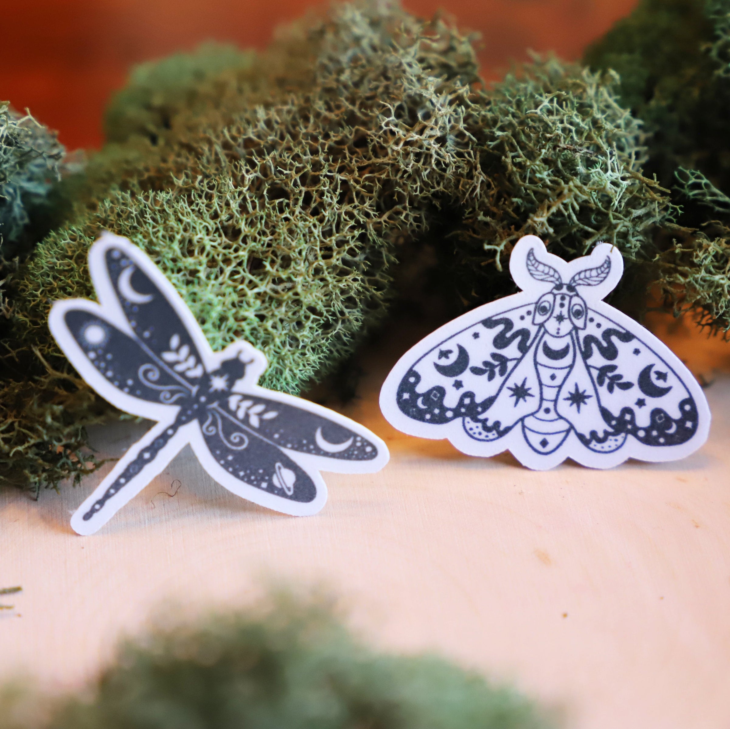 Esoteric Insect Mystical Insects sticker pack | 5pk – Esoteric Aroma