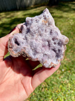 Purple Creedite