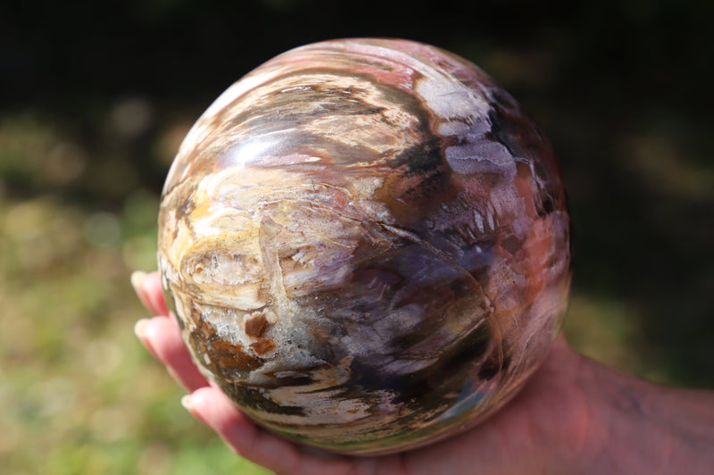 Petrified Wood sphere