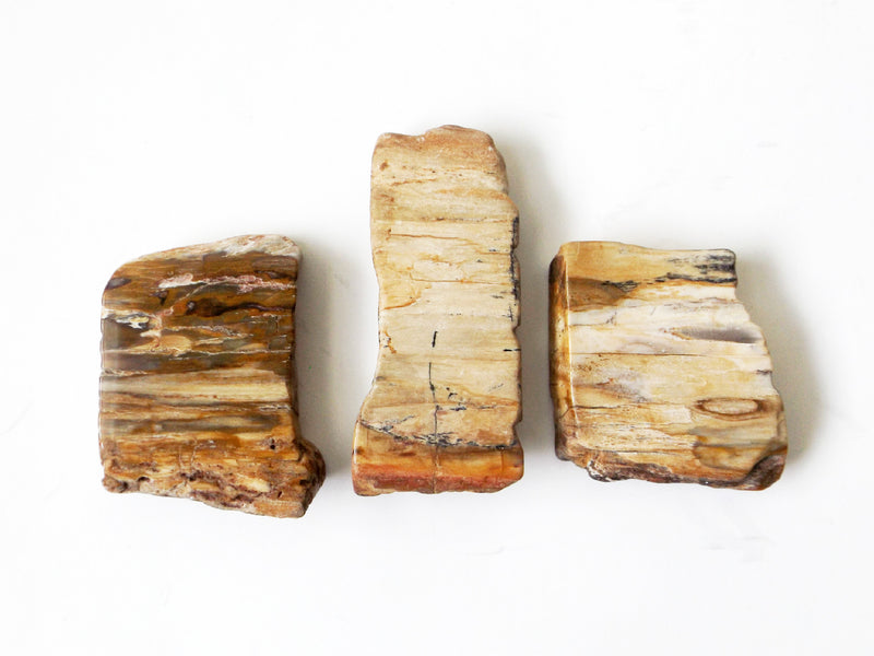 Petrified Wood - Esoteric Aroma