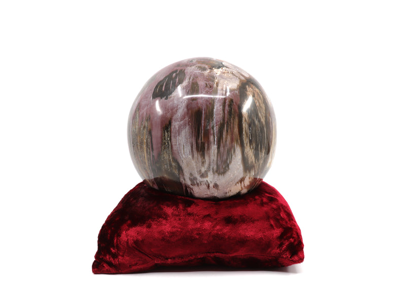 Petrified Wood sphere