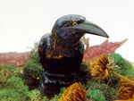 Onyx Raven - Esoteric Aroma